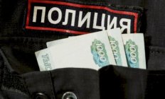 Бюджет на зарплаты сотрудников МВД и Росгвардии повысят