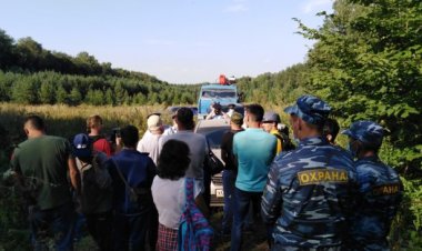 Росгвардия выявила нарушения в деятельности ЧОП Вершина