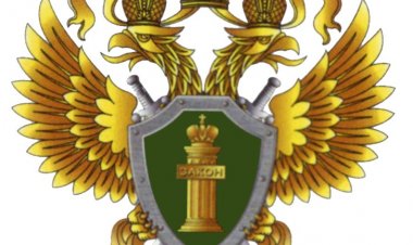 Нарушения законодательства при осуществлении частной охранной деятельности.