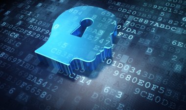 Какую информацию о сотрудниках вы можете собирать и хранить