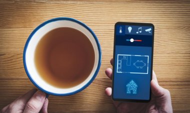 В Подмосковье построят поселок с единой цифровой средой и умными домами