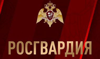 Новая программа подготовки сотрудников частных охранников вскоре может появиться в России.