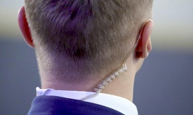 Охранные структуры на коротком поводке силовых структур