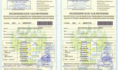 Проект приказа Минздрава России Порядок проведения медицинского освидетельствования на наличие медицинских противопоказаний к исполнению обязанностей частного охранника.