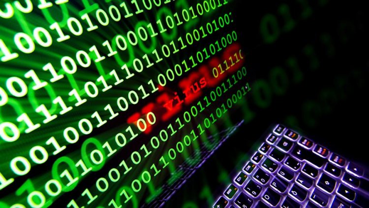Российские работодатели обучают своих сотрудников уловкам киберпреступников