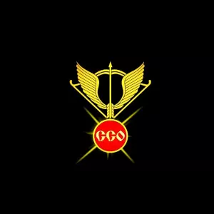 ООО ЧОП ССО