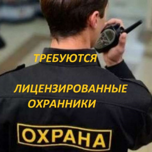 Стандарт охранной безопасности