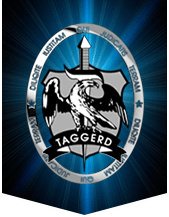 ЧОП «TAGGERD GROUP»